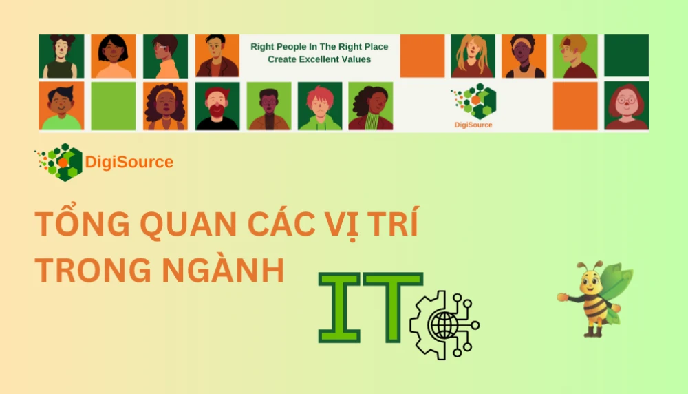 Tổng Quan Các Vị Trí Trong Ngành IT - Hướng Dẫn Chi Tiết Cho Ứng Viên