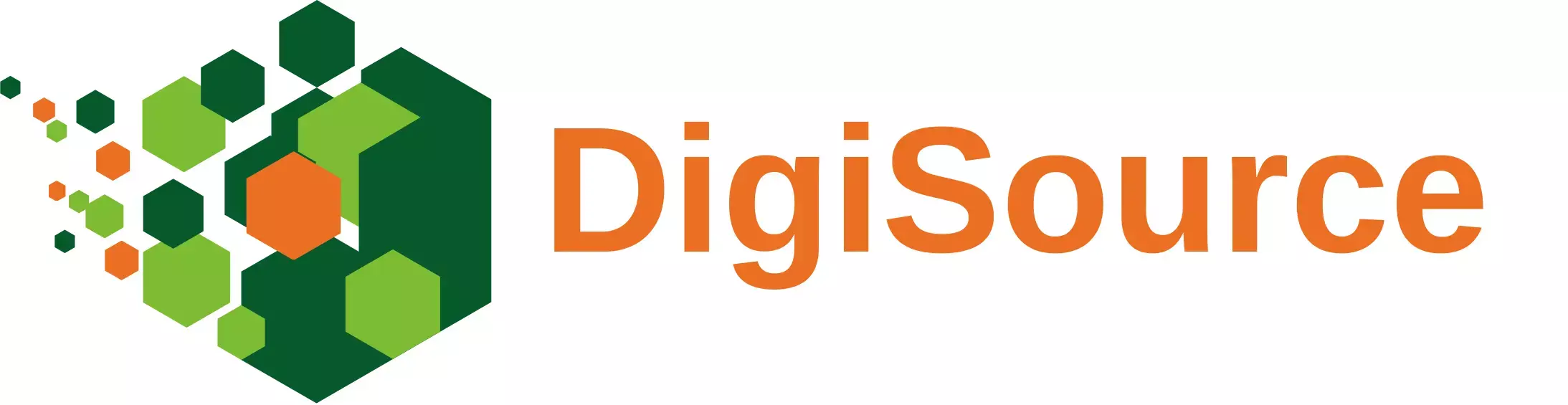 DigiSource logo