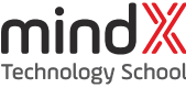 MindX
