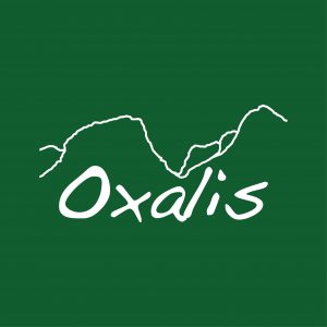 Oxalis Adventure