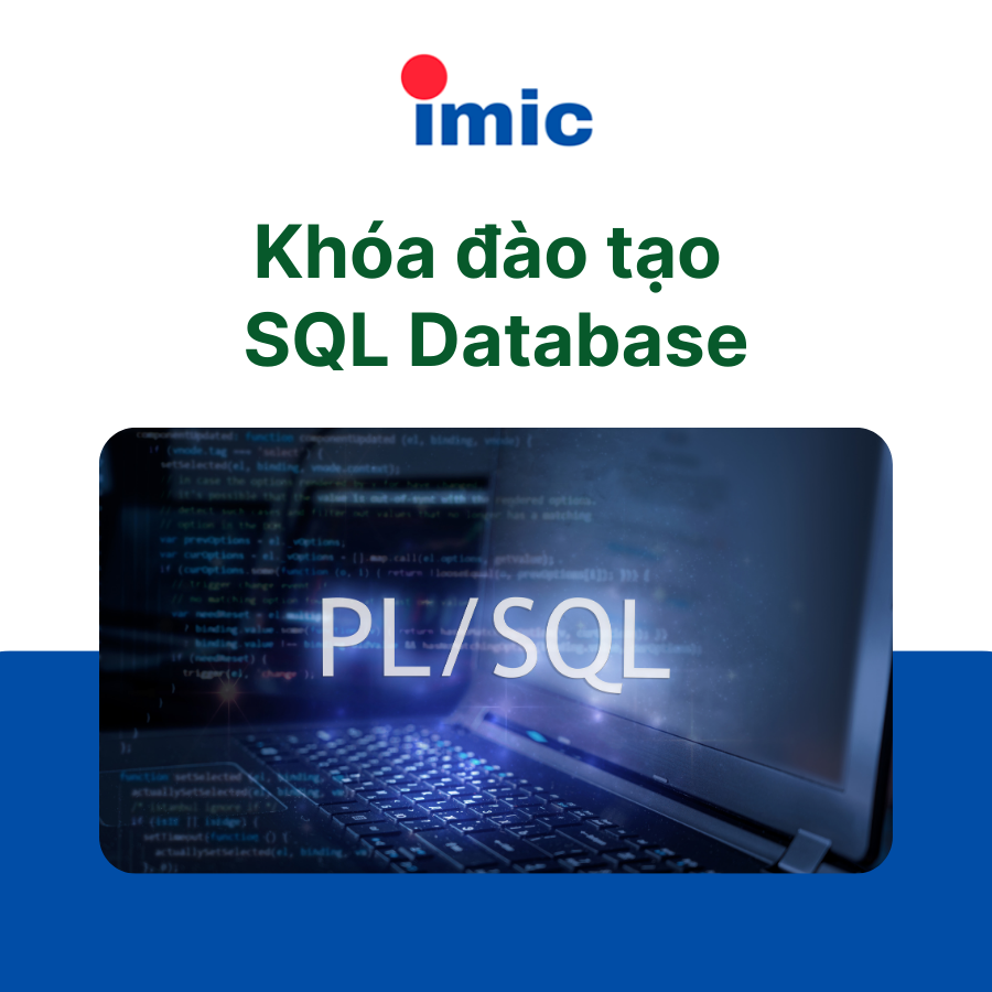 Khóa đào tạo SQL Database